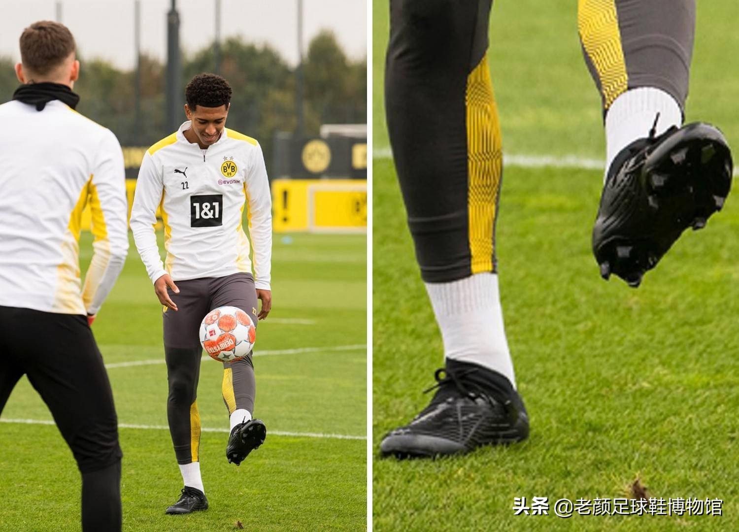 威廉姆斯 威廉姆斯